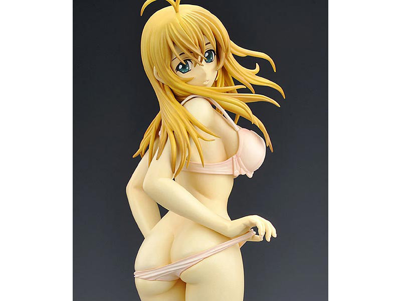 一騎当千GG 孫策伯符 生着替えver.-4