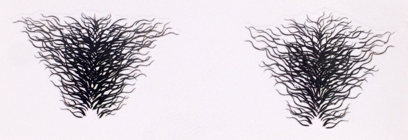 夏川黒羽 パーティドレス ver. 豪華版-17