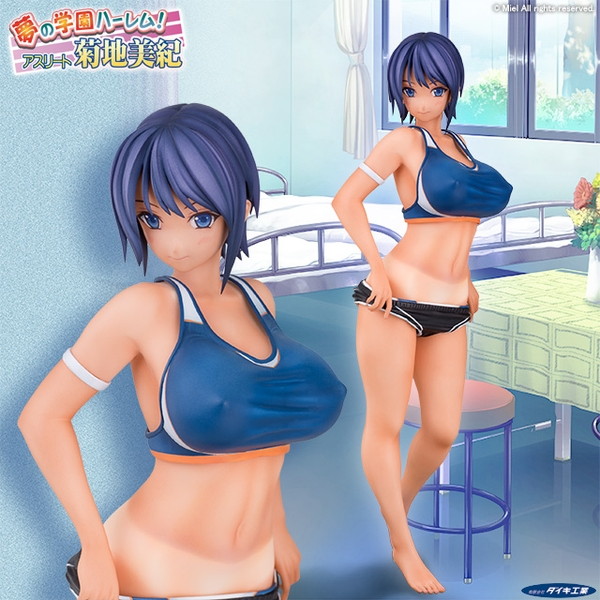 夢の学園ハーレム！アスリート 菊地美紀-8