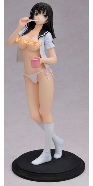 フォルトシリーズ 佐伯藍 1/6-1