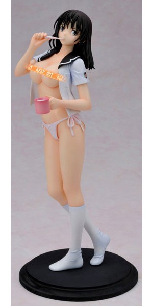 フォルトシリーズ 佐伯藍 1/6-8
